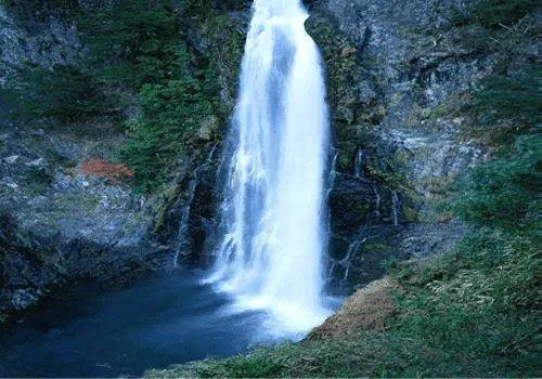 这5种蔬菜,不焯水等于在“服毒”,建议:吃之前要记得先焯水